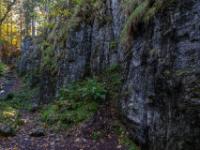 Felswände mit Moos und Farnen